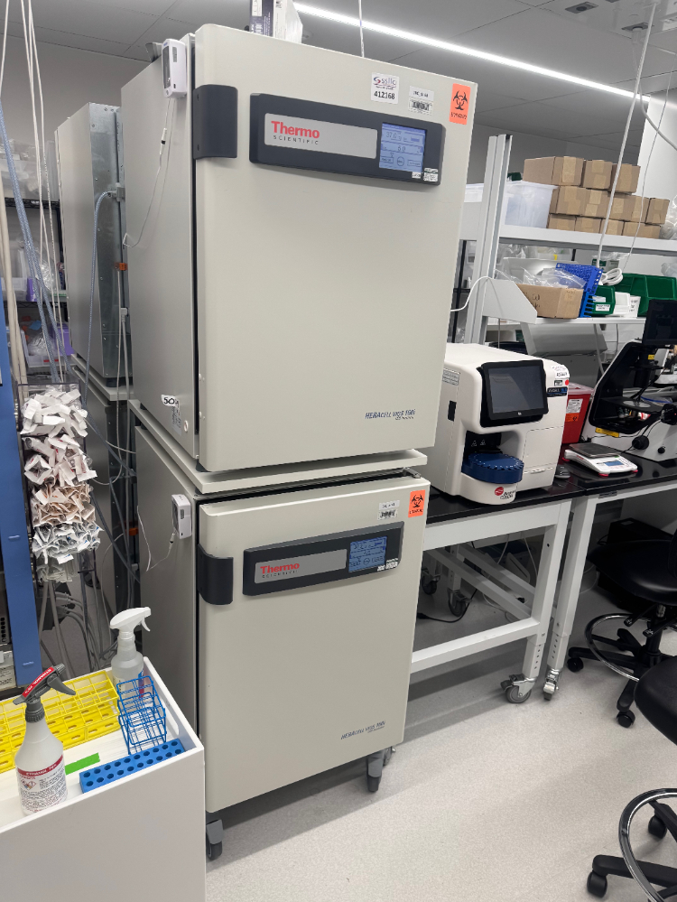 Image of Thermo HERAcell Vios 160i Double Stack CO2 Incubator